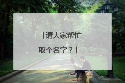 请大家帮忙取个名字?