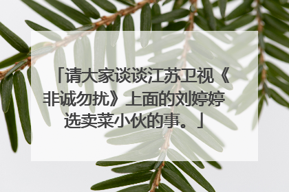 请大家谈谈江苏卫视《非诚勿扰》上面的刘婷婷选卖菜小伙的事。