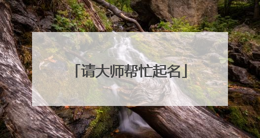 请大师帮忙起名