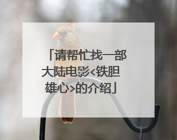 请帮忙找一部大陆电影<铁胆雄心>的介绍