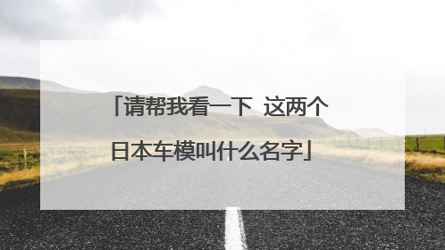请帮我看一下 这两个日本车模叫什么名字