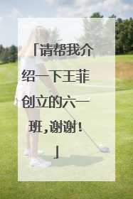 请帮我介绍一下王菲创立的六一班,谢谢!