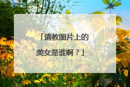 请教图片上的美女是谁啊？