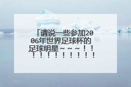 请说一些参加2006年世界足球杯的足球明星～～～！！！！！！！！！！！！！！！！！！！