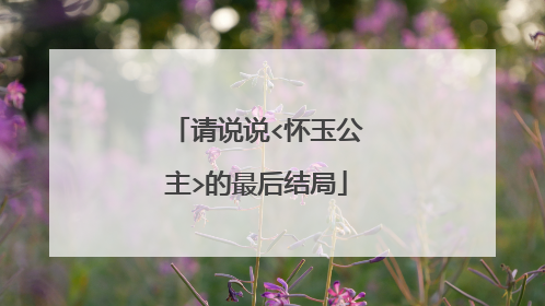 请说说<怀玉公主>的最后结局