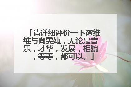 请详细评价一下谭维维与尚雯婕,无论是音乐,才华,发展,相貌,等等,都可以。