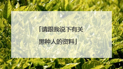 请跟我说下有关黑种人的资料