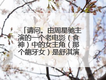 请问。由周星驰主演的一个老电影(食神)中的女主角(那个龅牙女)是舒淇演的吗??
