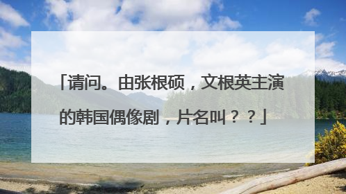 请问。由张根硕，文根英主演的韩国偶像剧，片名叫？？