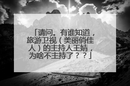 请问。有谁知道，旅游卫视（美丽俏佳人）的主持人王婧，为啥不主持了？？