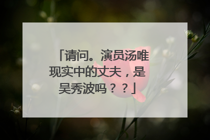 请问。演员汤唯现实中的丈夫,是吴秀波吗??