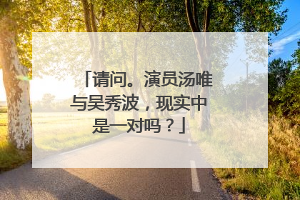 请问。演员汤唯与吴秀波,现实中是一对吗?