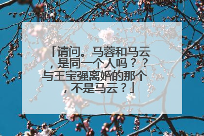 请问。马蓉和马云，是同一个人吗？？与王宝强离婚的那个，不是马云？