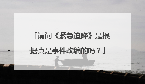 请问《紧急迫降》是根据真是事件改编的吗?
