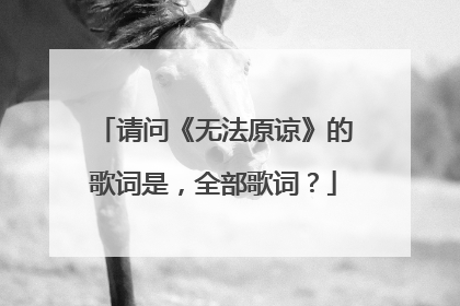 请问《无法原谅》的歌词是,全部歌词?