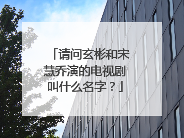 请问玄彬和宋慧乔演的电视剧叫什么名字?