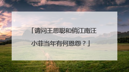 请问王思聪和俏江南汪小菲当年有何恩怨?