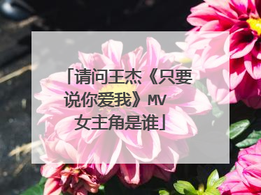 请问王杰《只要说你爱我》MV 女主角是谁