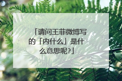 请问王菲微博写的「内什么」是什么意思呢?