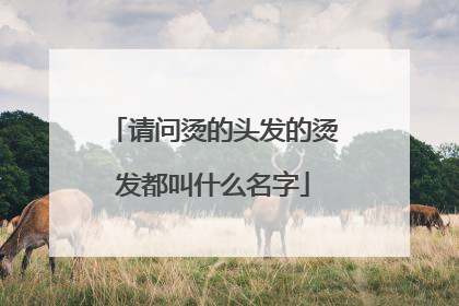 请问烫的头发的烫发都叫什么名字