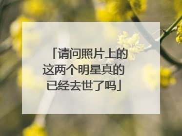 请问照片上的这两个明星真的已经去世了吗