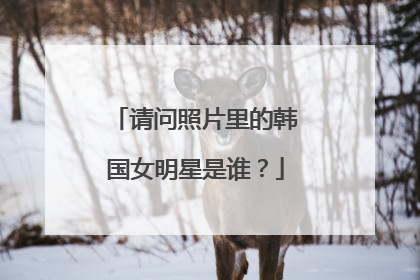 请问照片里的韩国女明星是谁？