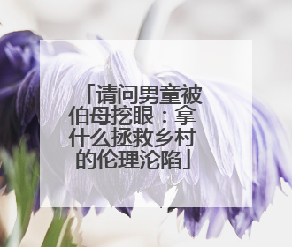 请问男童被伯母挖眼:拿什么拯救乡村的伦理沦陷