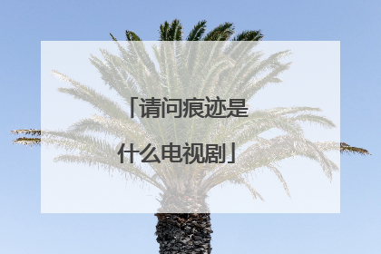 请问痕迹是什么电视剧
