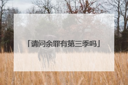 请问余罪有第三季吗