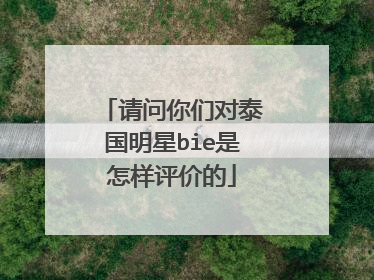请问你们对泰国明星bie是怎样评价的