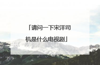 请问一下宋洋司机是什么电视剧