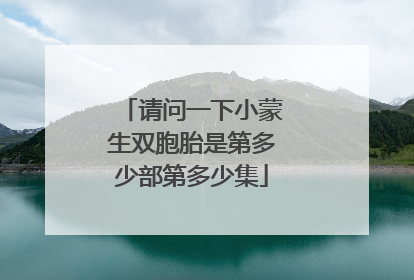 请问一下小蒙生双胞胎是第多少部第多少集