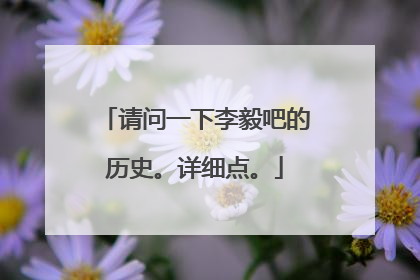 请问一下李毅吧的历史。详细点。