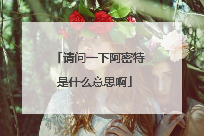 请问一下阿密特是什么意思啊