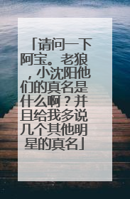 请问一下阿宝。老狼，小沈阳他们的真名是什么啊？并且给我多说几个其他明星的真名