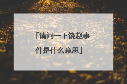 请问一下饶赵事件是什么意思