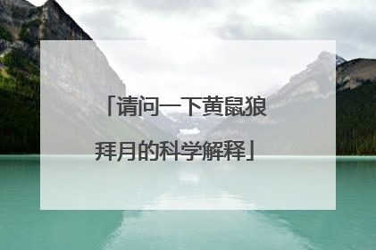 请问一下黄鼠狼拜月的科学解释