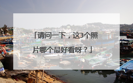 请问一下,这3个照片哪个最好看呀?