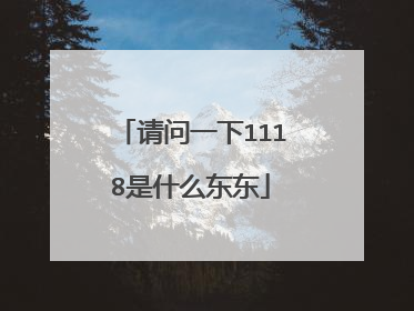 请问一下1118是什么东东