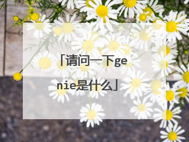 请问一下genie是什么