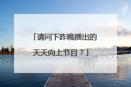请问下昨晚播出的天天向上节目？
