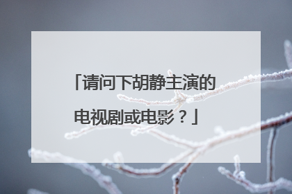 请问下胡静主演的电视剧或电影?