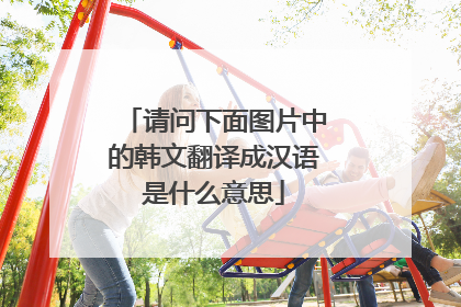 请问下面图片中的韩文翻译成汉语是什么意思