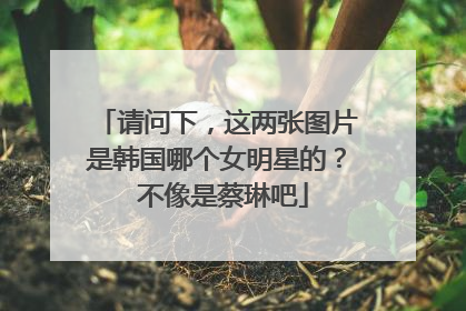 请问下,这两张图片是韩国哪个女明星的? 不像是蔡琳吧