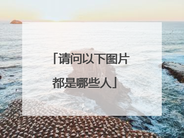 请问以下图片都是哪些人