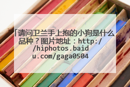 请问卫兰手上抱的小狗是什么品种?图片地址:http://hiphotos.baidu.com/gaga0504/pic/item/c63f5c8f76671