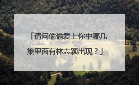 请问偷偷爱上你中哪几集里面有林志颖出现?