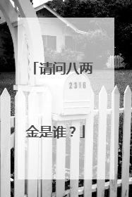 请问八两金是谁?