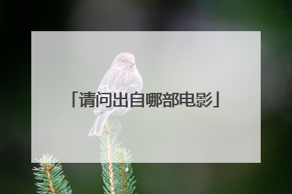 请问出自哪部电影