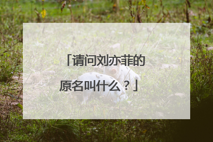 请问刘亦菲的原名叫什么?